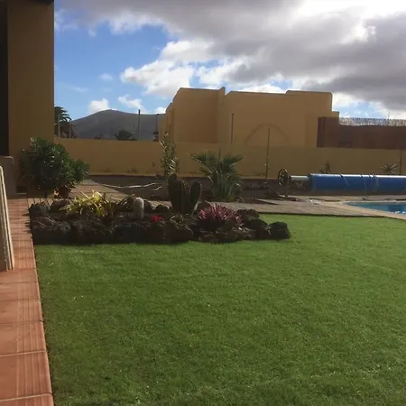 Amarilla La Oliva